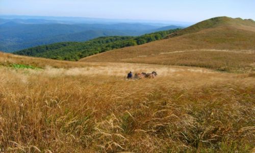 Zdjecie POLSKA / Podkarpackie / Bieszczady / Bieszczadzkie klimaty