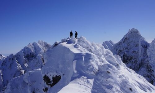 Zdjecie POLSKA / - / zakopane / Tatry