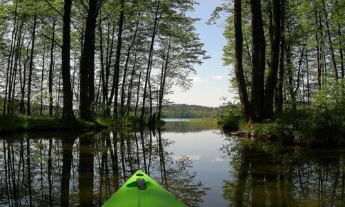 Zdjecie POLSKA / Lubuskie / Z jez.Lipie na jez.Sowa i dalej na jez.Kokno / Lubuskie Mazury