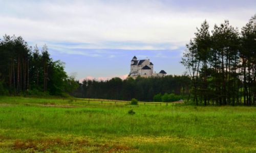 Zdjecie POLSKA / lskie / Bobolice / Bobolice z oddali