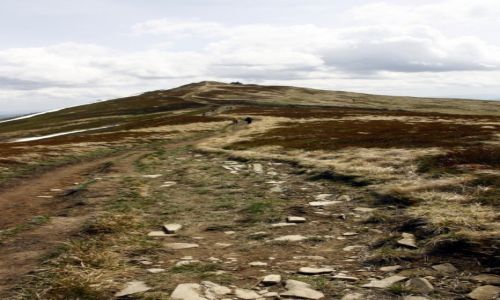 Zdjecie POLSKA / Bieszczady / Poonina Caryska / Wiosenne Pooniny