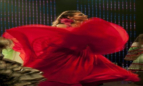 Zdjcie POLSKA / Gorzw Wlkp. / Romane Dyvesa / Makowa panienka
