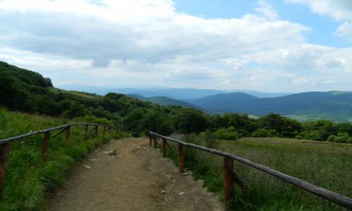 Zdjęcie POLSKA / bieszczady / w drodze na Tarnice / Bieszczady 2013
