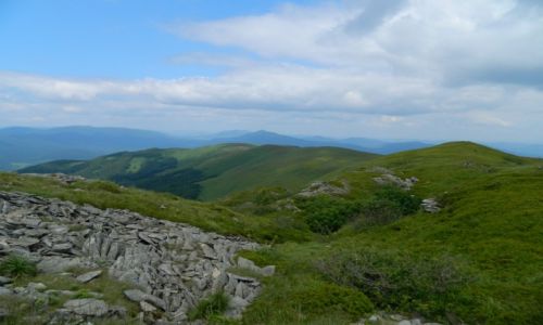 Zdjęcie POLSKA / bieszczady / w drodze na Tarnice / Bieszczady 2013