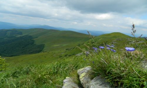 Zdjęcie POLSKA / bieszczady / w drodze na Tarnice / Bieszczady 2013