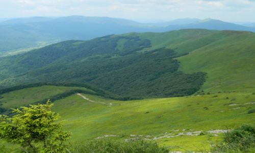 Zdjęcie POLSKA / bieszczady / w drodze na Tarnice / Bieszczady 2013