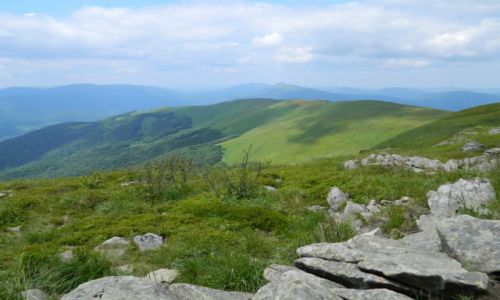 Zdjęcie POLSKA / bieszczady / w drodze na Tarnice / Bieszczady 2013