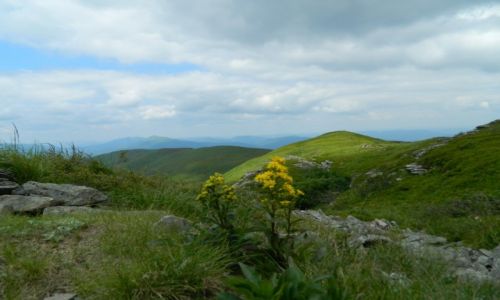 Zdjęcie POLSKA / bieszczady / w drodze na chatki puchatka / Bieszczady 2013