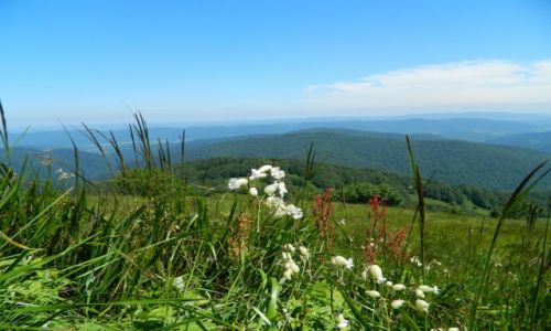 Zdjęcie POLSKA / bieszczady / w drodze na chatki puchatka / Bieszczady 2013