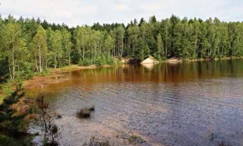 Zdjecie POLSKA / Woj Lubuskie / Krajowy Geopark uk Muakowa. / Ukryte jeziorka antropogeniczne.