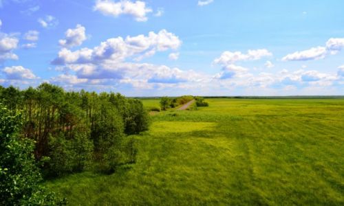 Zdjecie POLSKA / Podlaskie / Biebrzaski Park Narodowy / Biebrzaski Park Narodowy