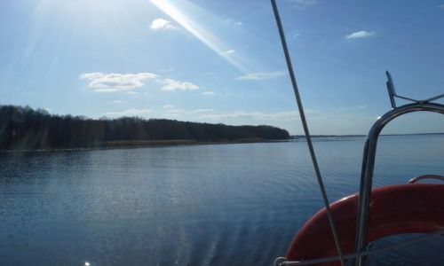 Zdjecie POLSKA / Mazury / Mazury / agle