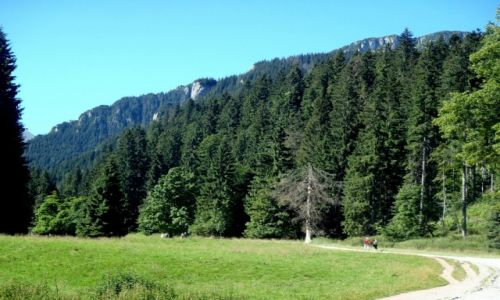 Zdjecie POLSKA / Tatry / Dolina Kocieliska / Dolina Kocieliska