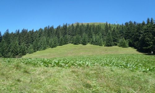 Zdjecie POLSKA / Tatry / Dolina Lejowa - cieka nad Reglami / Dolina Lejowa - cieka nad Reglami