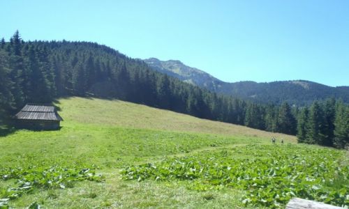 Zdjecie POLSKA / Tatry / Dolina Lejowa - cieka nad Reglami / Dolina Lejowa - cieka nad Reglami