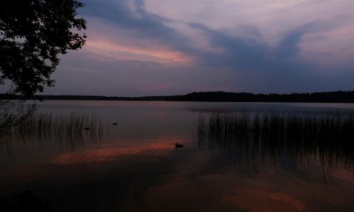 Zdjecie POLSKA / Podlasie / Studzieniczna / Wieczr nad jeziorem Studzienicznym