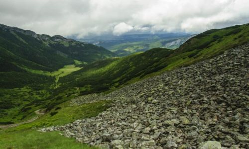 Zdjecie POLSKA / Tatry Zachodnie / Zielony szlak na Przecz pod Kop Kondrack / Dolina Kondratowa