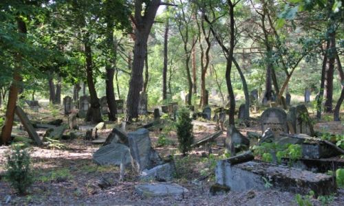 Zdjcie POLSKA / Mazowieckie / Anielin / zapomniany zaktek