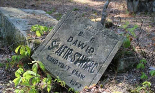 Zdjcie POLSKA / Mazowieckie / Anielin / stary cmentarz ydowski