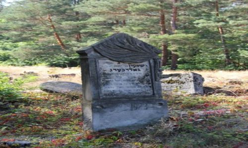 Zdjcie POLSKA / Mazowieckie / Anielin / cmentarz ydowski