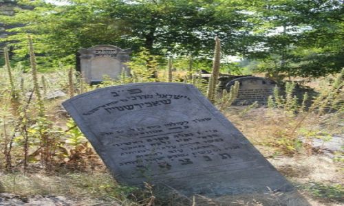 Zdjcie POLSKA / Mazowieckie / Anielin / opuszczony cmentarz