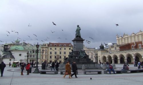 Zdjecie POLSKA / Maopolskie / Krakw / na krakowskim rynku