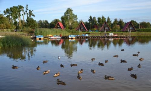 POLSKA / Dwirzyno / Dwirzyno / Jezioro Resko