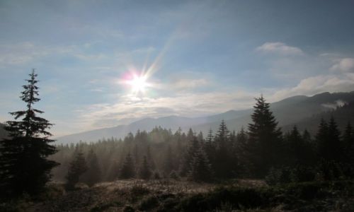 Zdjęcie POLSKA / Południowa Polska / Kondratowa Hala / TATRY