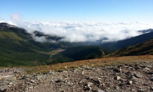 Zdjecie POLSKA / Poudniowa Polska / DOLINA KONDRATOWA / TATRY