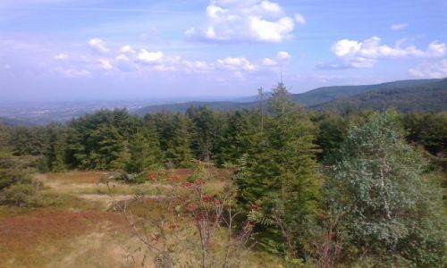 Zdjcie POLSKA / Beskid lski /  okolice Klimczoka / Beskid lski