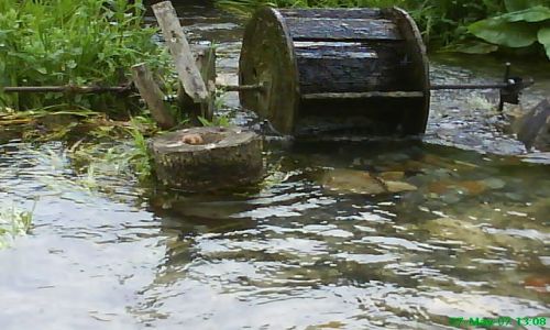Zdjecie POLSKA / jura / brandysówka / kołowrotek