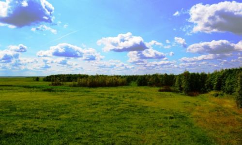 Zdjęcie POLSKA / Podlaskie / BPN / Biebrzański Park Narodowy