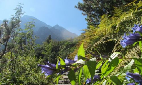 Zdjecie POLSKA / Poudniowa Polska / TATRY WYSOKIE / Droga na Szpiglasow przecz