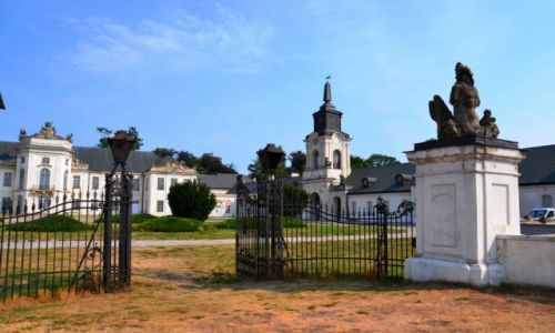 Zdjecie POLSKA / Lubelszczyzna / Radzy Podlaski / Rokokowy zesp paacowo-parkowy