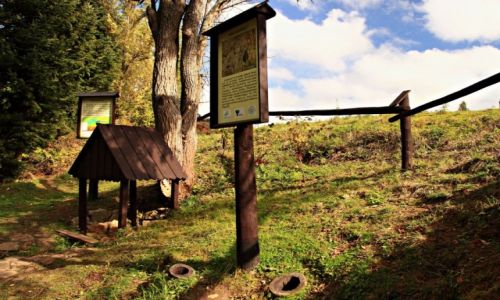 Zdjecie POLSKA / Beskid Sdecki. / Zockie / Mofeta  na dnie Zockiego Potoku.