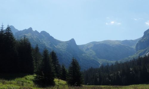 Zdjecie POLSKA / Tatry Zachodnie / Dolina Maej ki / Z Doliny na Giewont