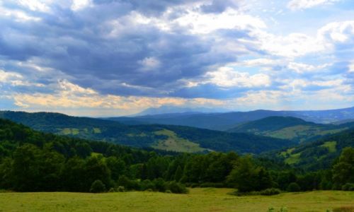 Zdjecie POLSKA / Maopolska / Wierchomla / Widok z Bacwki pod Wierchoml