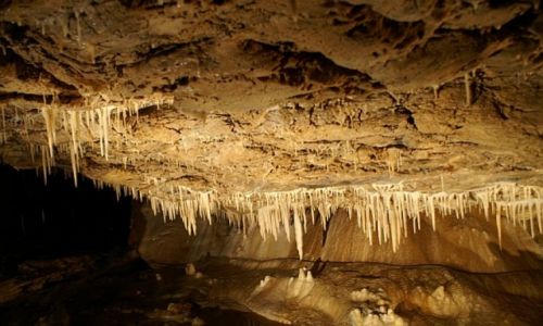 Zdjęcie POLSKA / Kotlina Kłodzka / Kletno / Jaskinia Niedźwiedzia