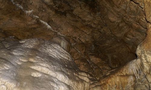 Zdjęcie POLSKA / Kotlina Kłodzka / Kletno / Jaskinia NiedĽwiedzia