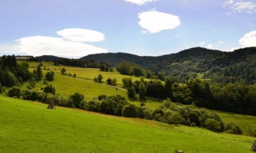 Zdjecie POLSKA / Maopolska / Wierchomla / W drodze na Wierchoml Wielk