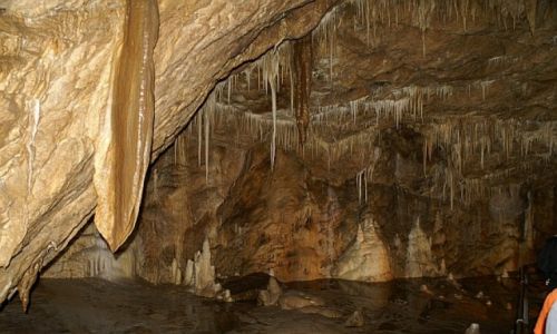 Zdjęcie POLSKA / Kotlina Kłodzka / Kletno / Jaskinia Niedźwiedzia