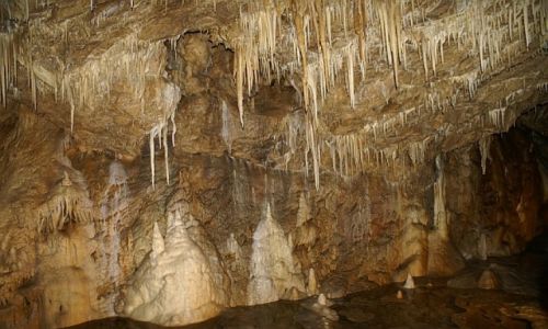 Zdjęcie POLSKA / Kotlina Kłodzka / Kletno / Jaskinia Niedźwiedzia