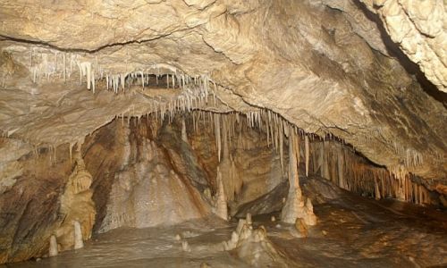 Zdjęcie POLSKA / Kotlina Kłodzka / Kletno / Jaskinia Niedźwiedzia