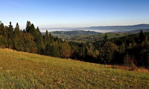 Zdjecie POLSKA / Pasmo Gorce / Rabka Zdrj / W drodze na Turbacz.