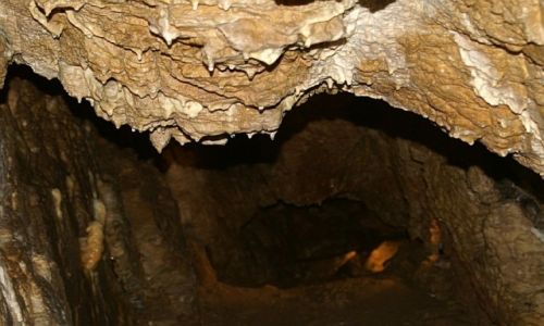 Zdjęcie POLSKA / Kotlina Kłodzka / Kletno / Jaskinia NiedĽwiedzia