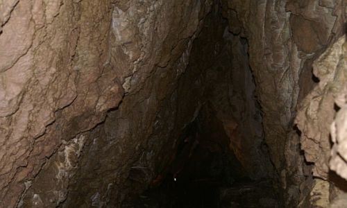 Zdjęcie POLSKA / Kotlina Kłodzka / Kletno / Jaskinia NiedĽwiedzia