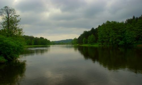 Zdjecie POLSKA / - / Polska  / Pynie  