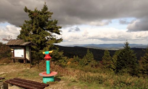Zdjecie POLSKA / Beskid Sdecki. / Jaworzyna Krynicka / Widok na pasmo Jaworzyny Krynickiej