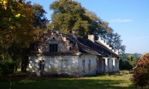 Zdjecie POLSKA / Lubelskie / Krzyczew / Dwr