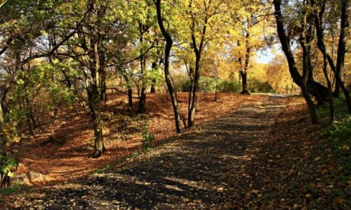 Zdjecie POLSKA / Kujawsko-Pomorski / Park Bydgoski / W kolorach jesieni.